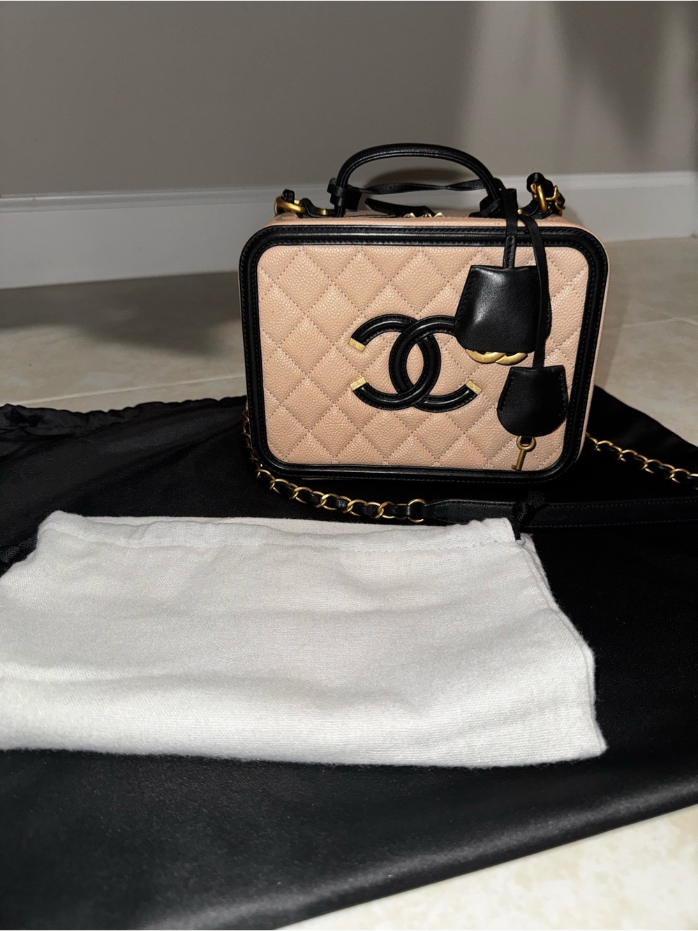 CHANEL Medium Quilted Vanity Crossbody Bag with Gold Hardware